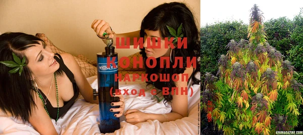 дживик Елизово