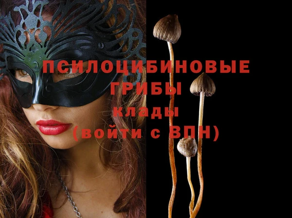 дживик Елизово