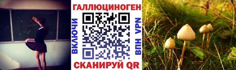 Галлюциногенные грибы прущие грибы  Купить  Грозный 